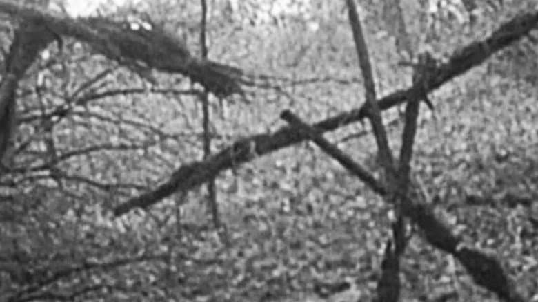 The Blair Witch Project artwork